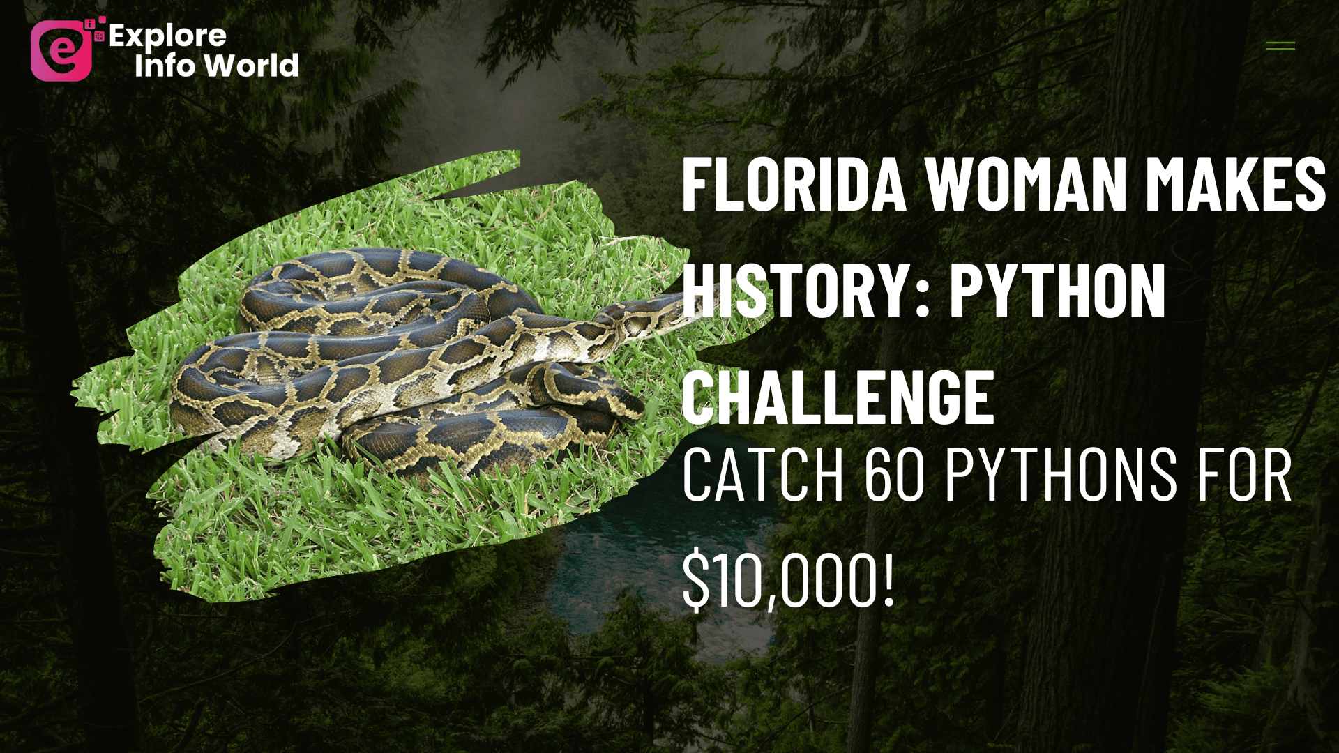 Florida Woman Makes History Python Challenge—Catch 60 Pythons for