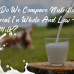 What Exactly Are Flesh-Eating Bacteria, and How Do You Get Them From Raw Oysters?