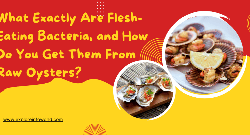 What Exactly Are Flesh-Eating Bacteria, and How Do You Get Them From Raw Oysters