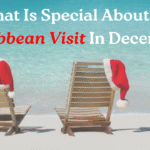 Why ‘Fall of Rome’ Candle Is a Social Media Hit